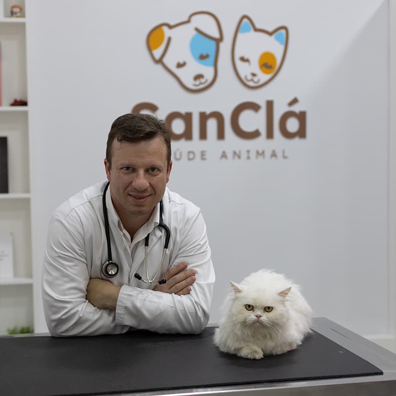 Dr. Diego Rossini — CRMV/SC 04517