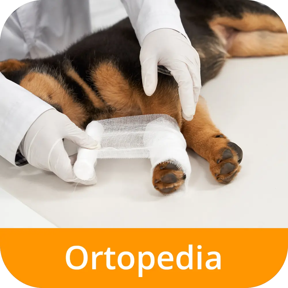 Ortopedia